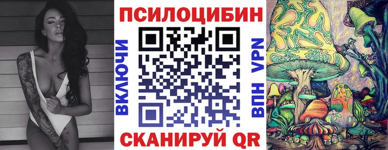blacksprut сайт  Пойковский  Псилоцибиновые грибы Psilocybine cubensis 