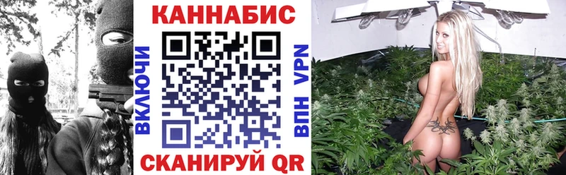 Шишки марихуана сатива  Пойковский 
